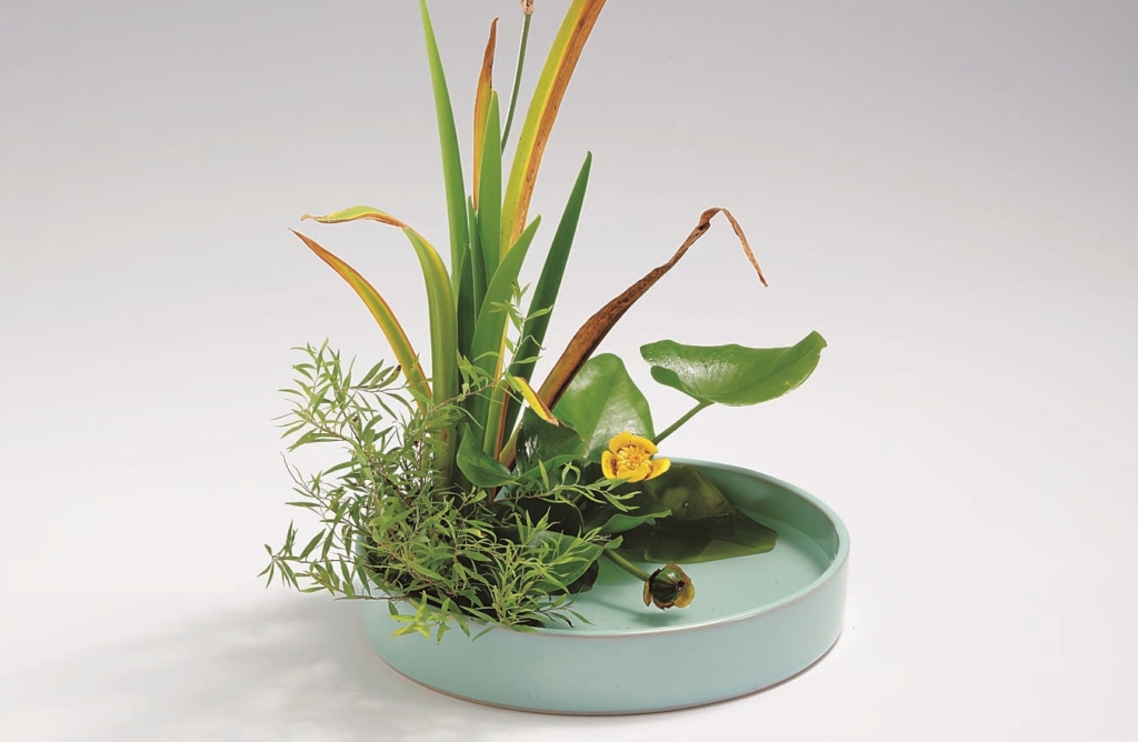 季節のおすすめ花材「河骨」