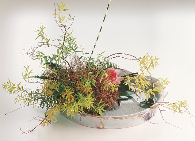 季節のおすすめ花材「雪柳」