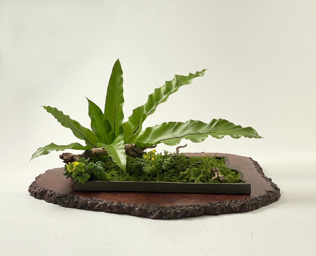 季節のおすすめ花材「谷渡り」