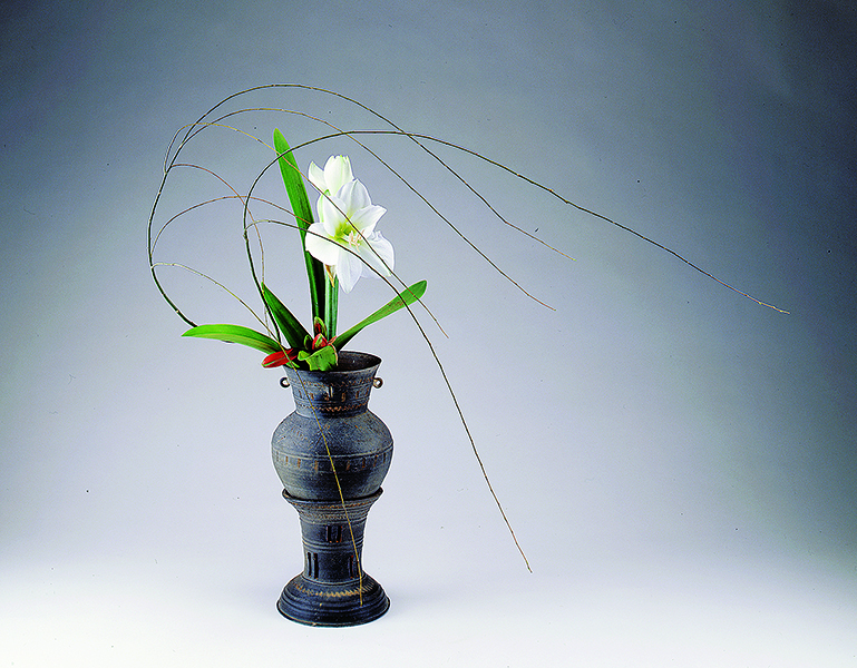 季節のおすすめ花材「アマリリス」