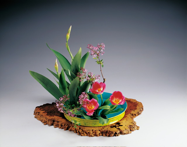 季節のおすすめ花材「いちはつ」