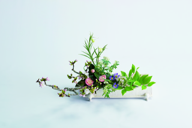 季節のおすすめ花材「都忘れ」