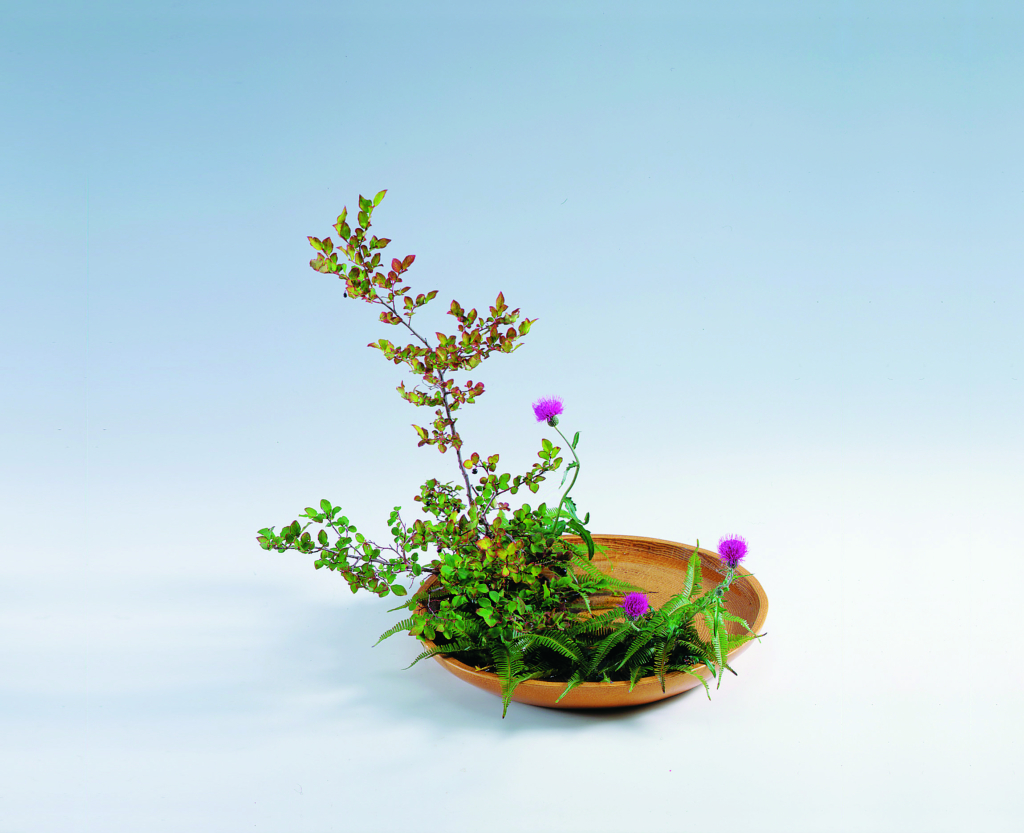 季節のおすすめ花材「あざみ」
