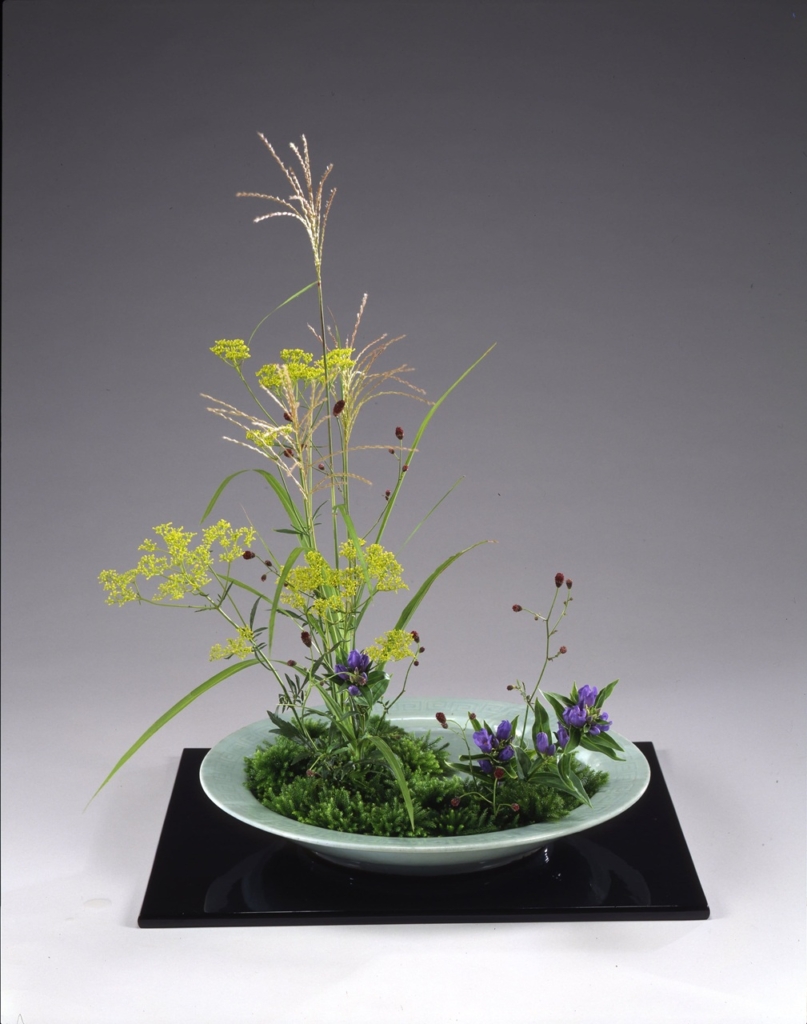 季節のおすすめ花材「日蔭（立日蔭・日蔭蔓）」