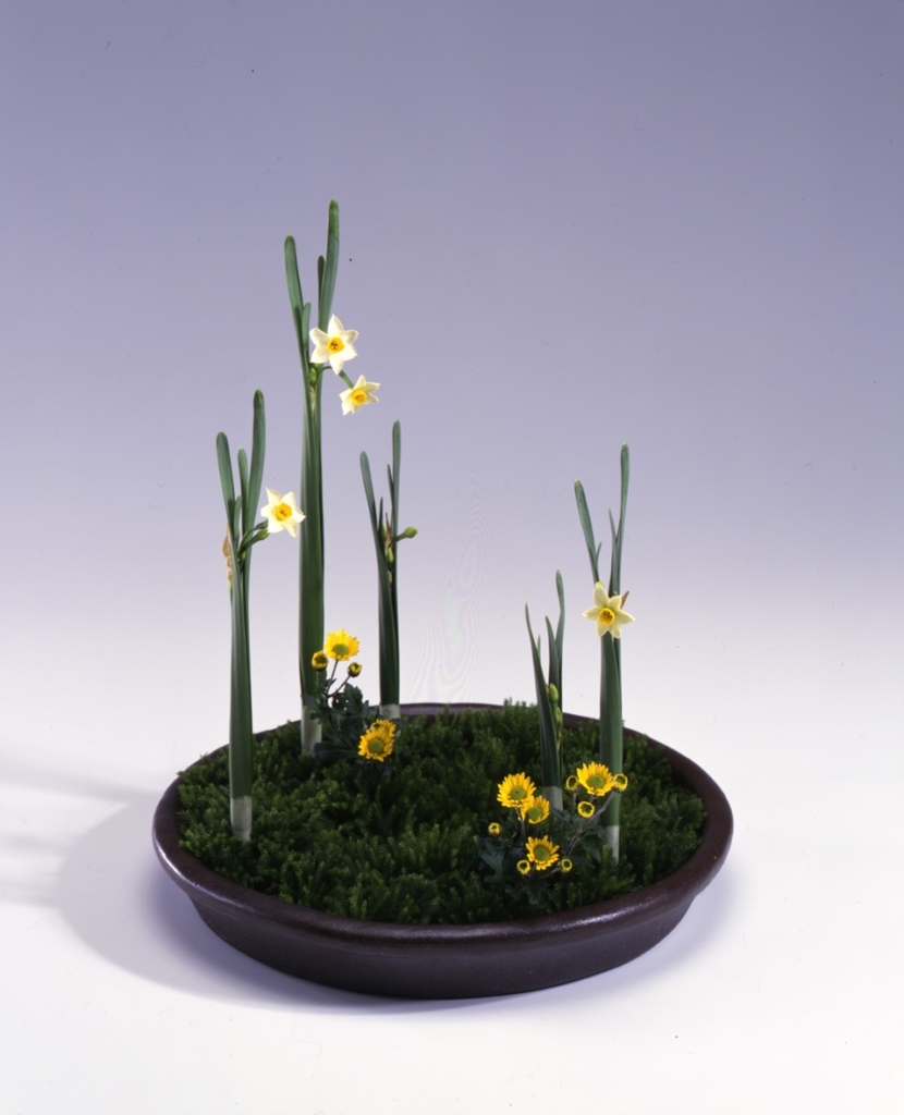 季節のおすすめ花材「水仙」